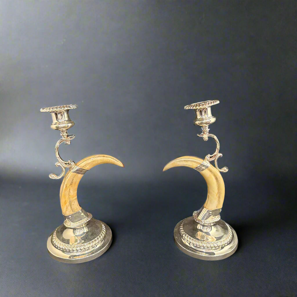 Pair of boar tooth candlesticks 