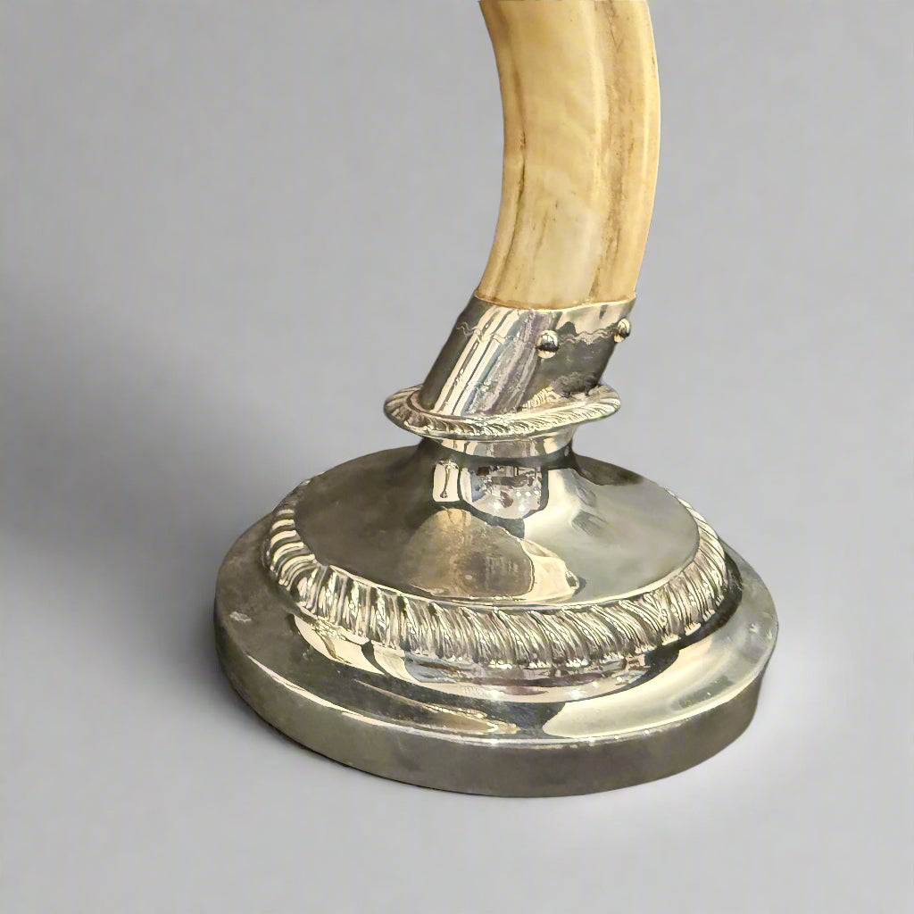Pair of boar tooth candlesticks 