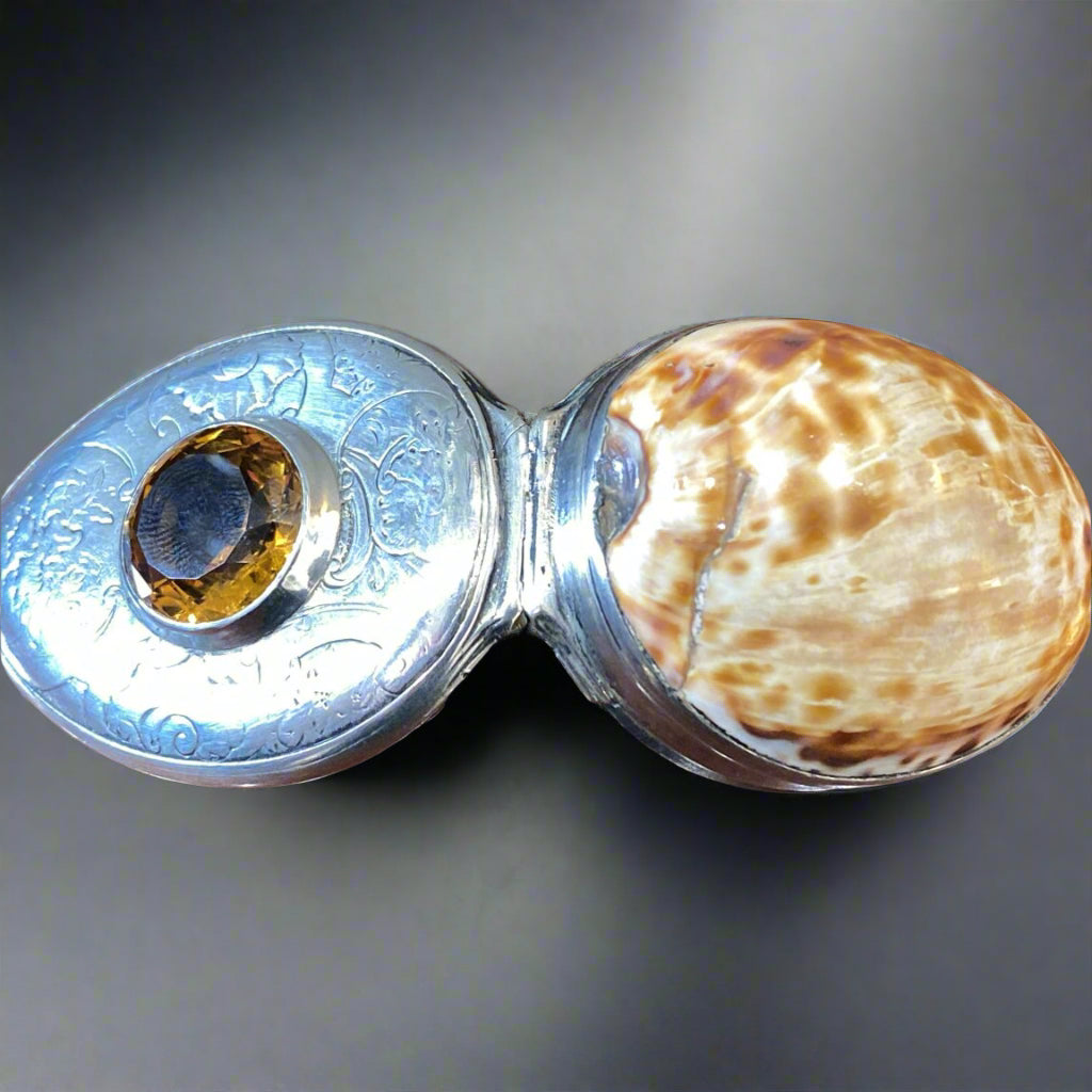 Unusual Scottish silver-mounted cowrie shell snuff box