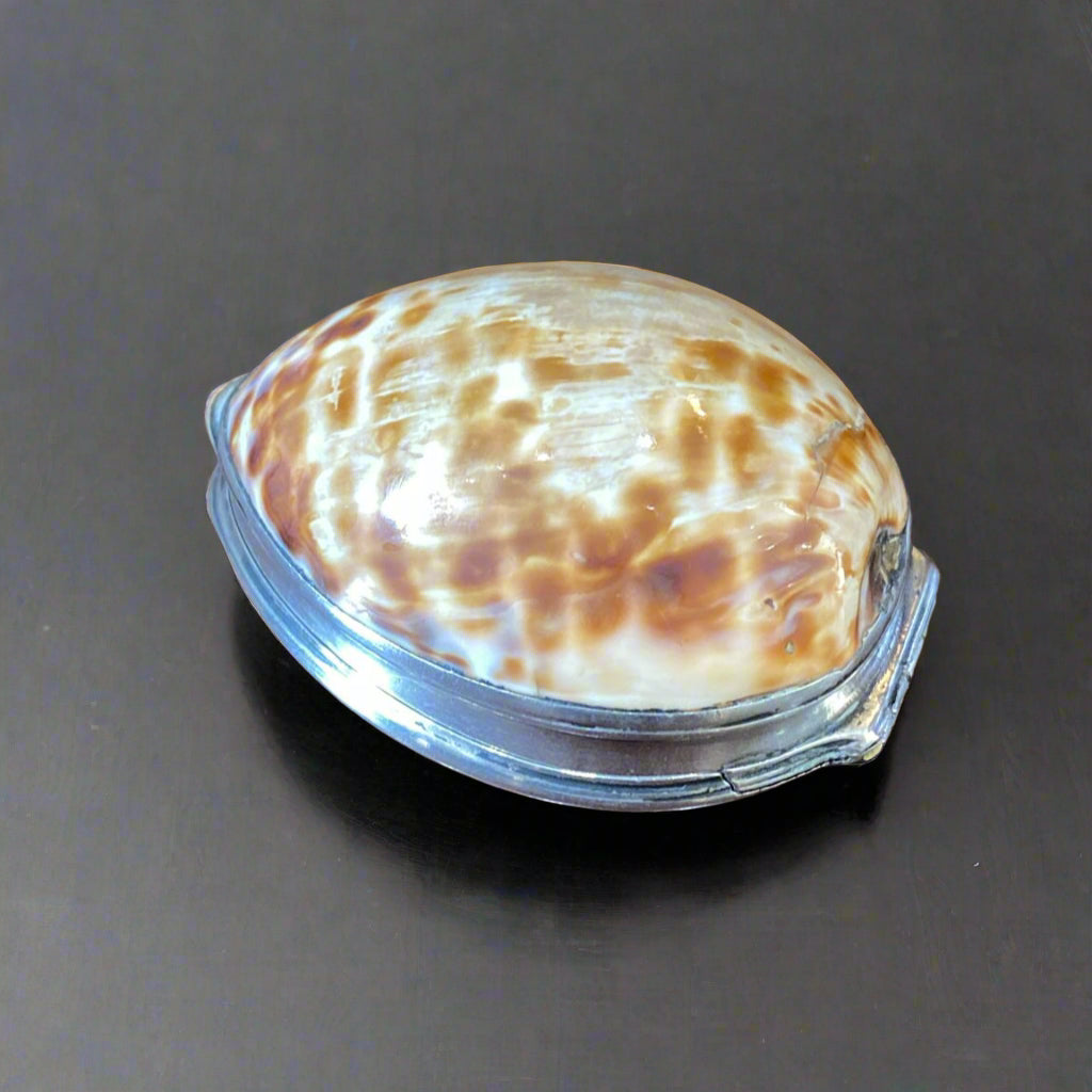 Unusual Scottish silver-mounted cowrie shell snuff box