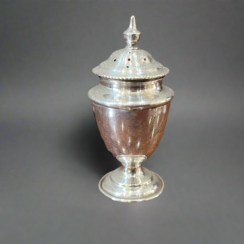 single silver pepper pot